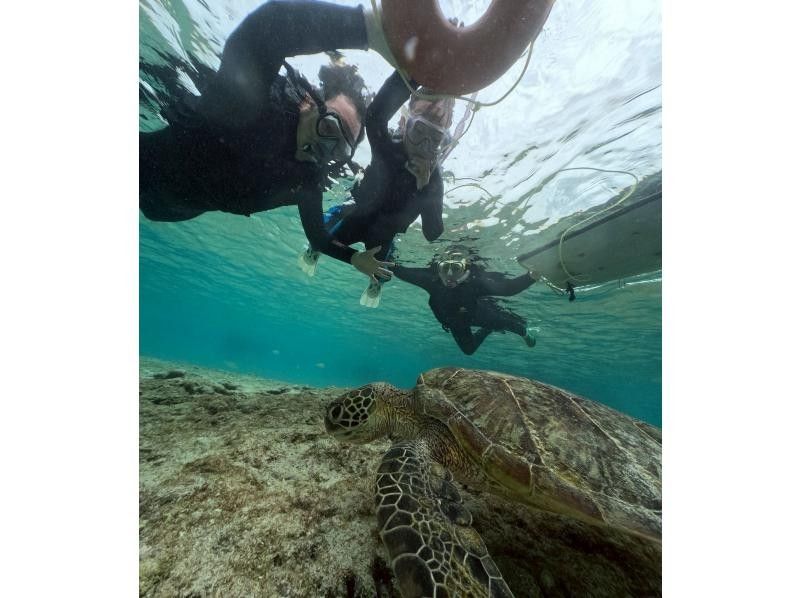 海メルト のギャラリー