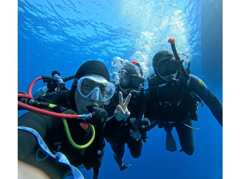 ソードフィッシュ のギャラリー