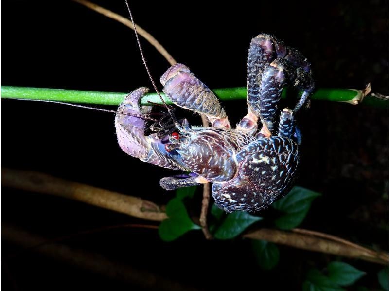 宮古島マリンショップSmiley のギャラリー