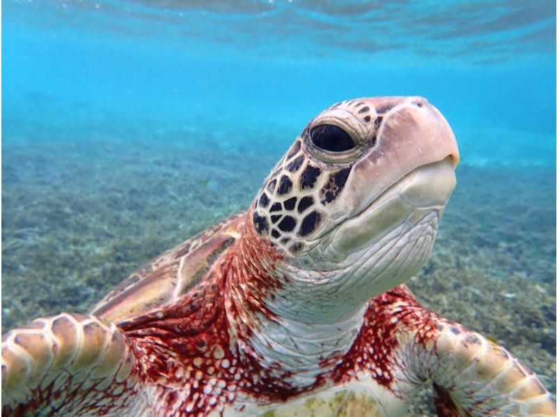 宮古島マリンショップSmiley のギャラリー