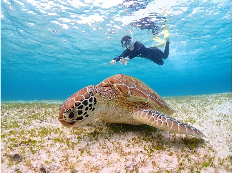 宮古島マリンショップSmiley のギャラリー