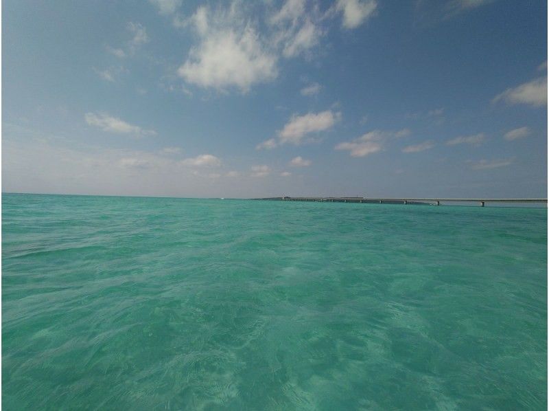 海メルト のギャラリー