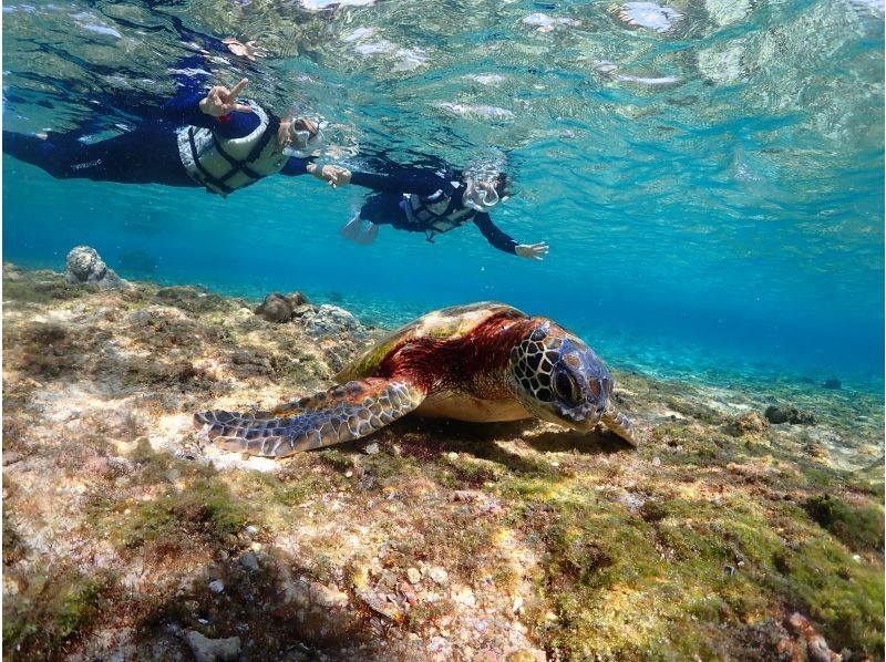 宮古blueまほろば のギャラリー