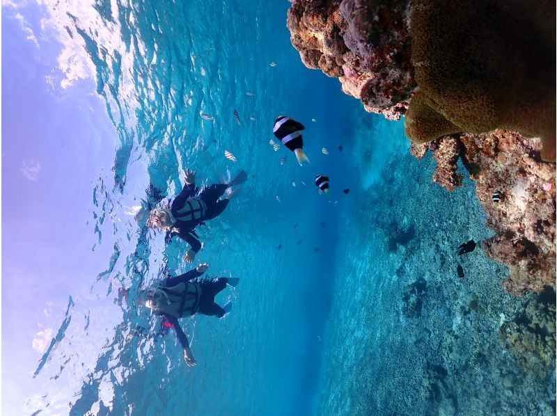 宮古blueまほろば のギャラリー