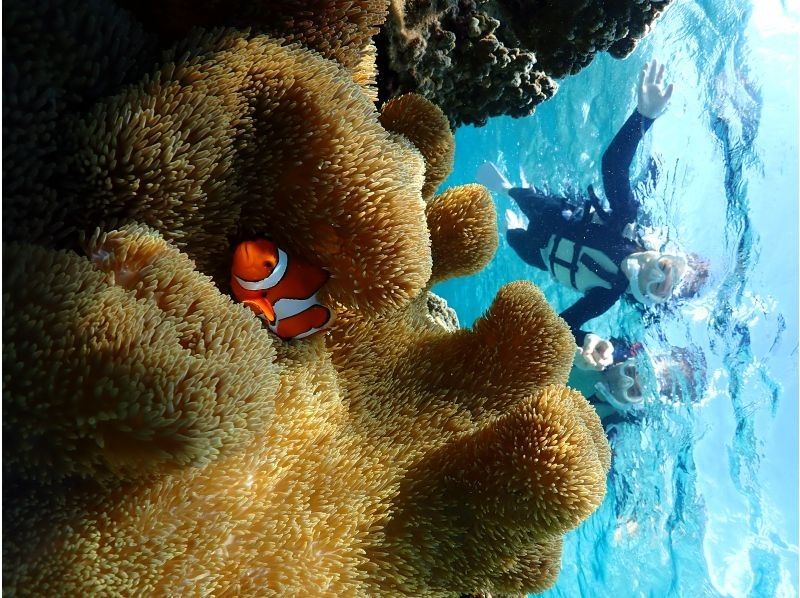 宮古blueまほろば のギャラリー