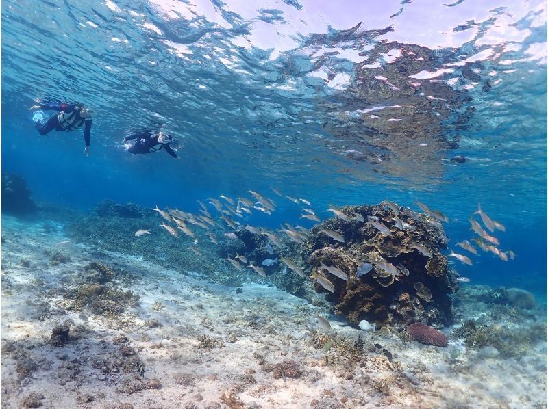 宮古blueまほろば のギャラリー