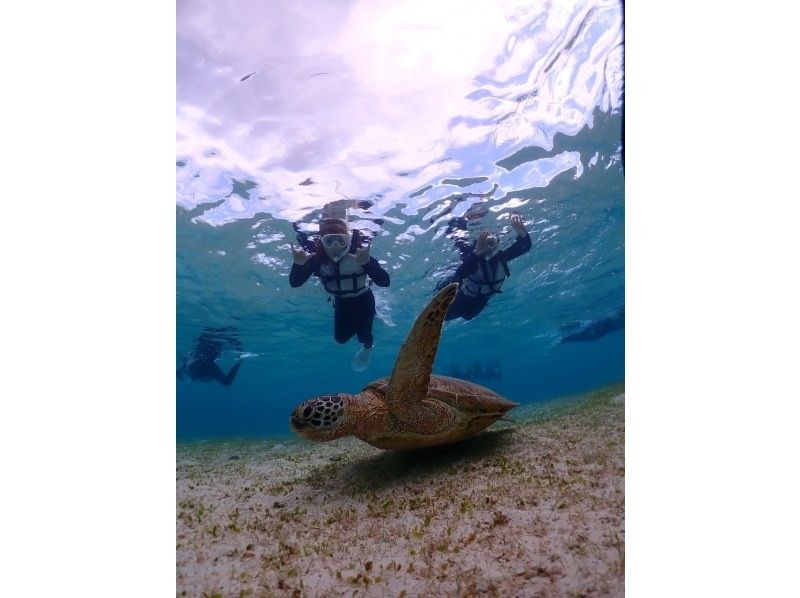 宮古島マリン SUGAR3 のギャラリー