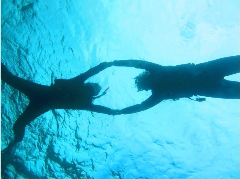 Okinawan sup のギャラリー