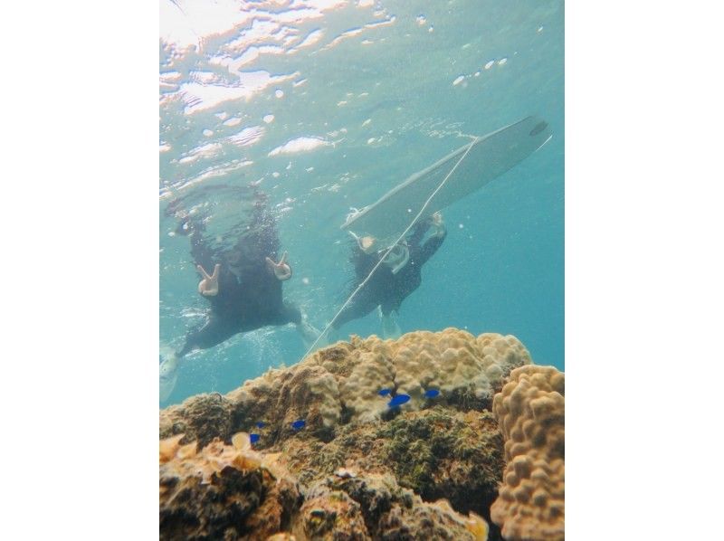 Okinawan sup のギャラリー