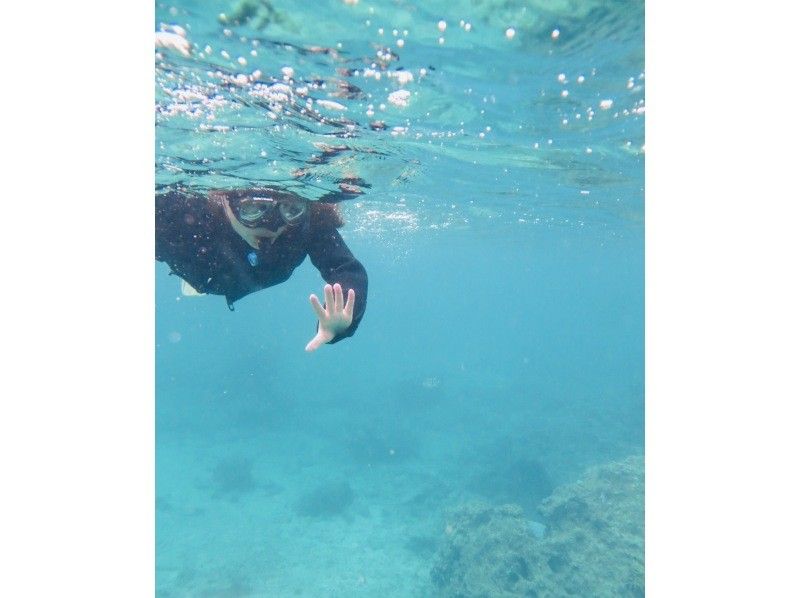 Okinawan sup のギャラリー