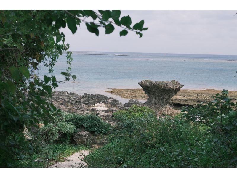 Okinawan sup のギャラリー