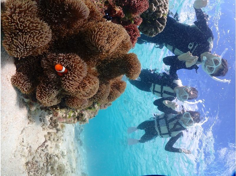 宮古blueまほろば のギャラリー