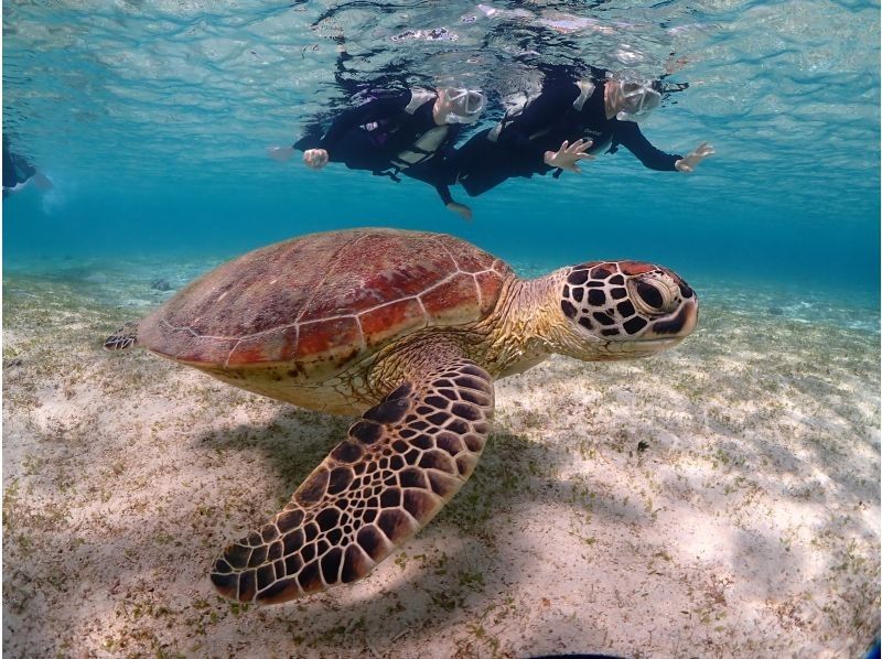 宮古blueまほろば のギャラリー