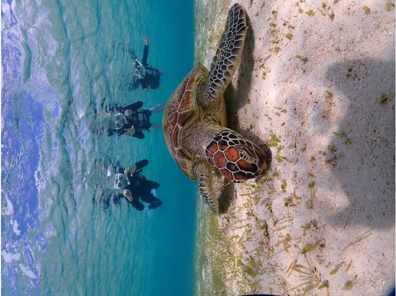 宮古blueまほろば のギャラリー