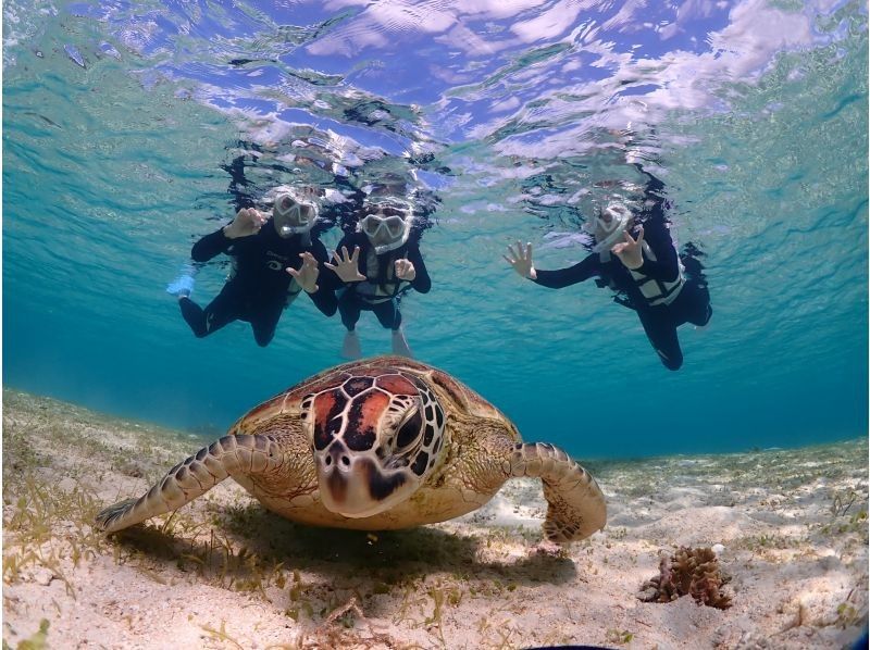 宮古blueまほろば のギャラリー