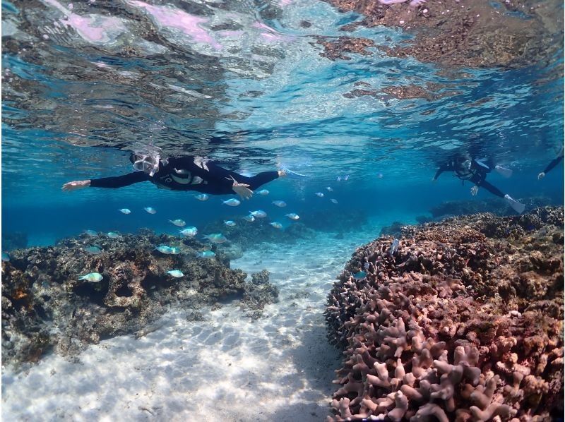 宮古blueまほろば のギャラリー