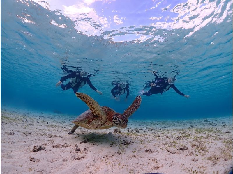 宮古blueまほろば のギャラリー