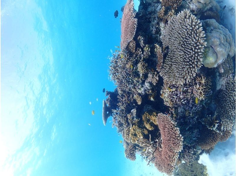 結咲（ゆいさー） のギャラリー