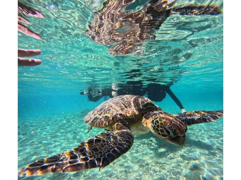 マーレ宮古島 のギャラリー