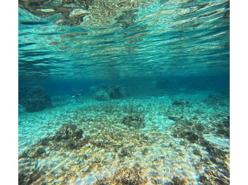 マーレ宮古島 のギャラリー