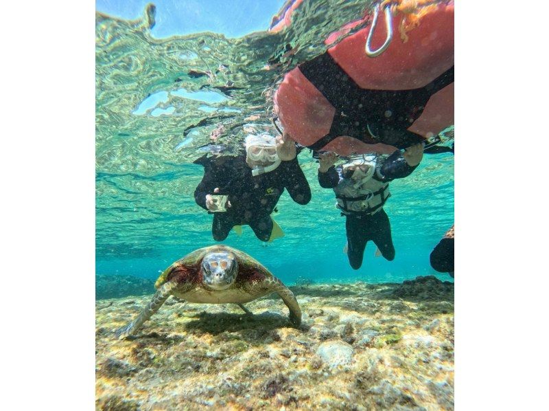 OCEAN LIFE のギャラリー