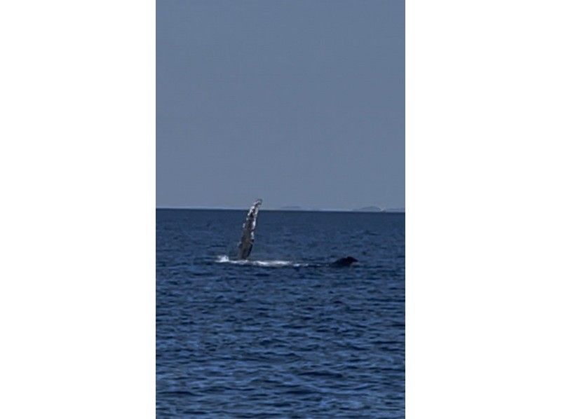 サウスtoサウス(South to South) のギャラリー