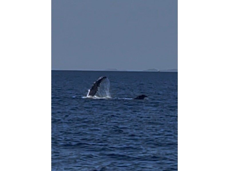 サウスtoサウス(South to South) のギャラリー