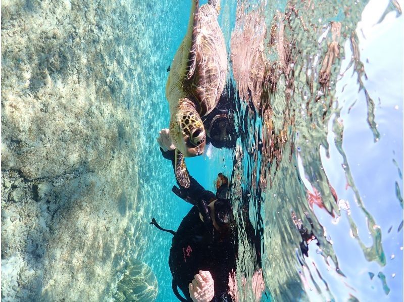 Nami宮古島 のギャラリー