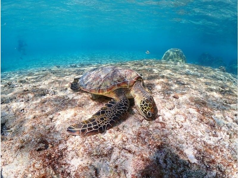 Nami宮古島 のギャラリー