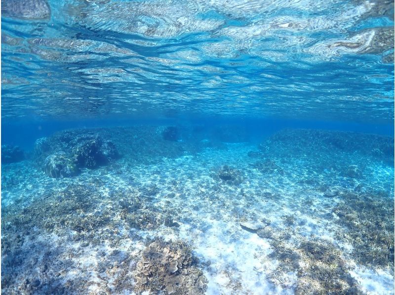 Nami宮古島 のギャラリー