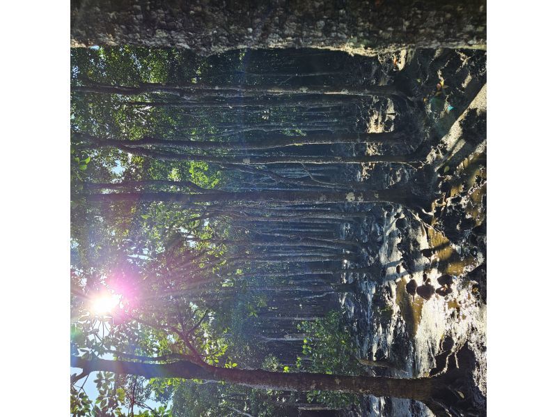 石垣島 海ツアー のギャラリー