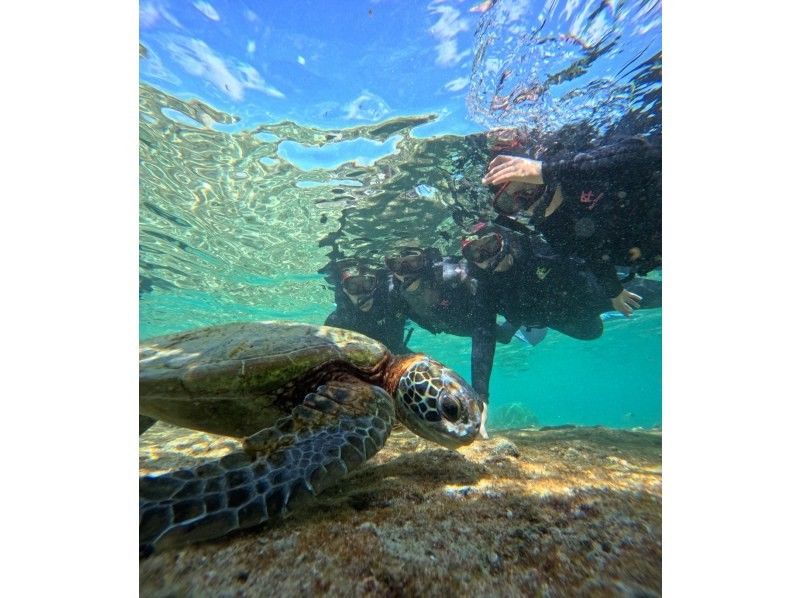 マーレ宮古島 のギャラリー