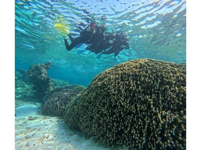 マーレ宮古島 のギャラリー