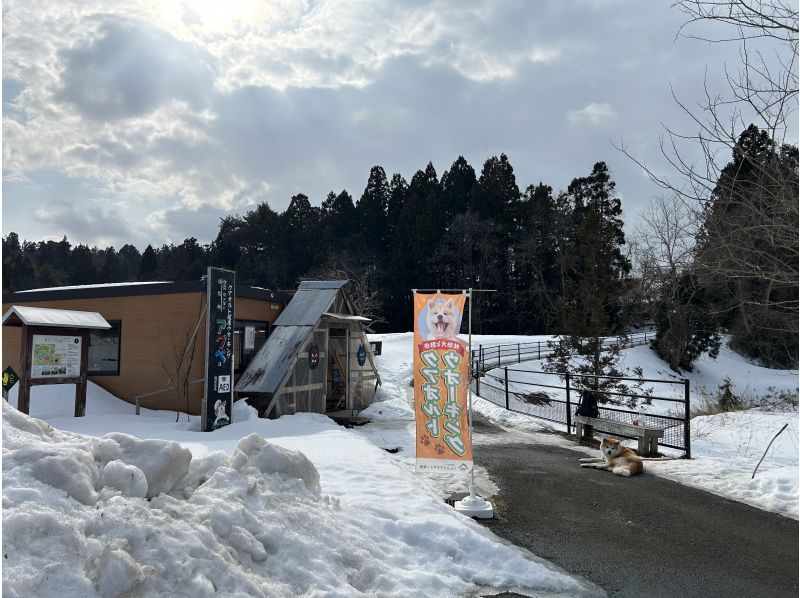 一般社団法人ヘルスケアデザイン秋田 のギャラリー