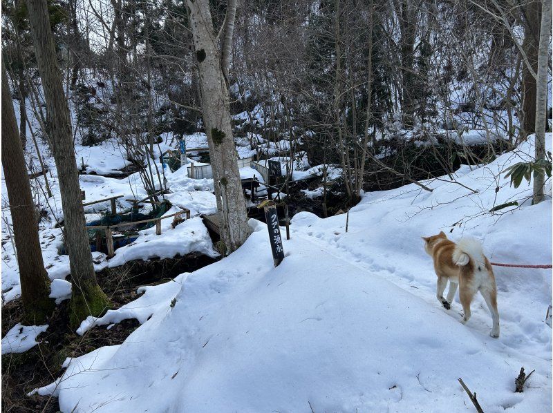 一般社団法人ヘルスケアデザイン秋田 のギャラリー