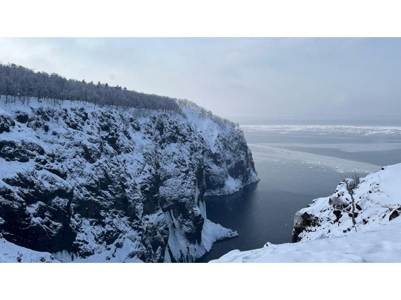 知床ネイチャーガイド星の時間(Starhours) のギャラリー