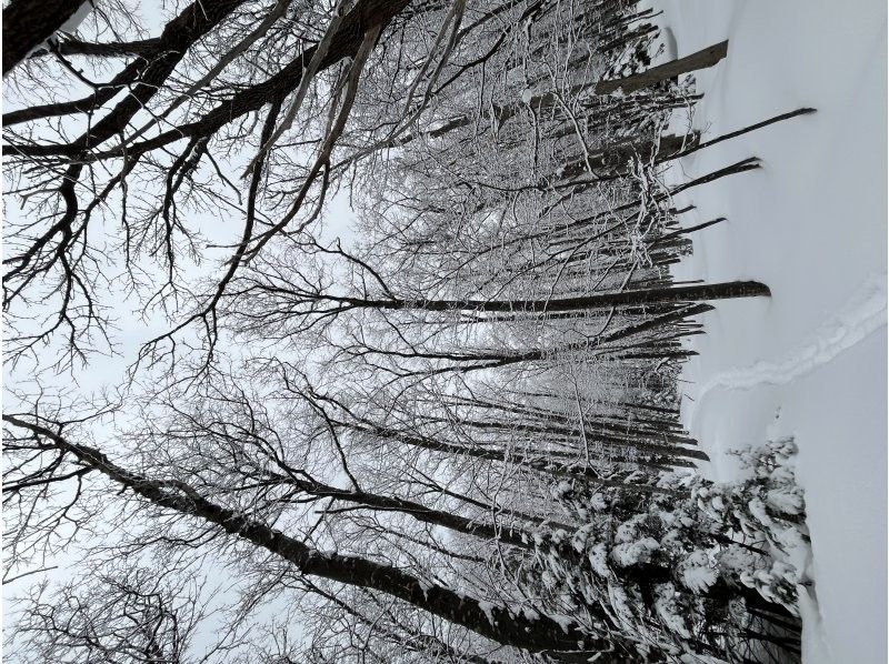 知床ネイチャーガイド星の時間(Starhours) のギャラリー