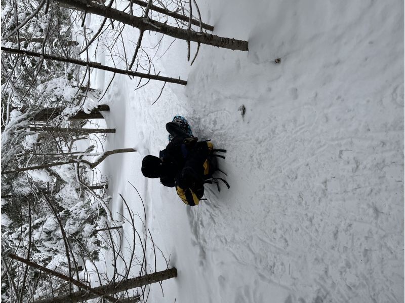 知床ネイチャーガイド星の時間(Starhours) のギャラリー