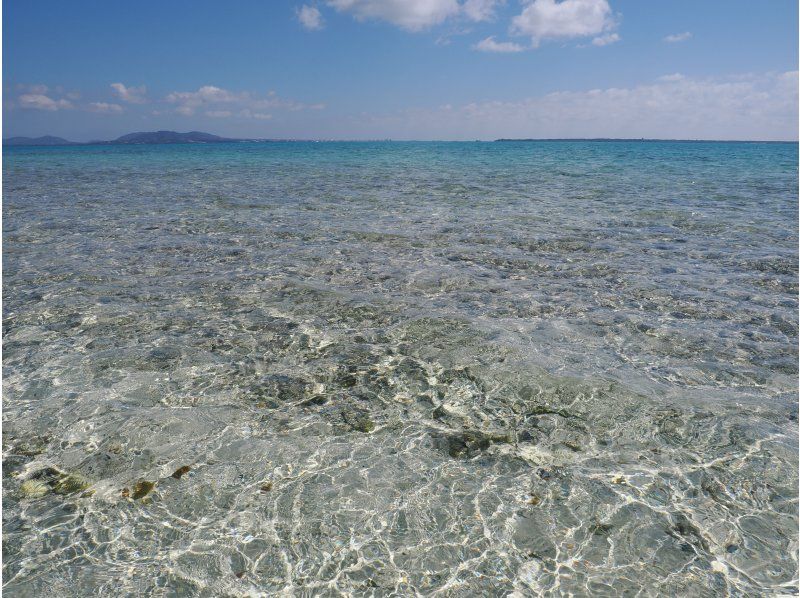 Tomorl のギャラリー