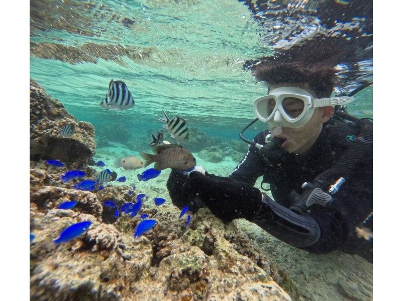 沖縄マリンサービス碧 のギャラリー