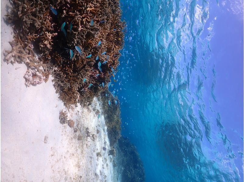 SUNSHINE MARIN 宮古島 のギャラリー