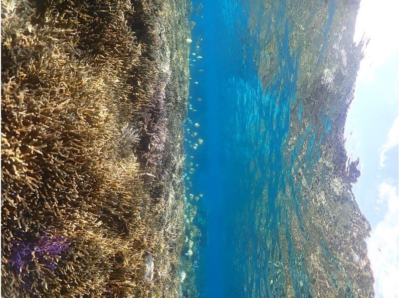 SUNSHINE MARIN 宮古島 のギャラリー