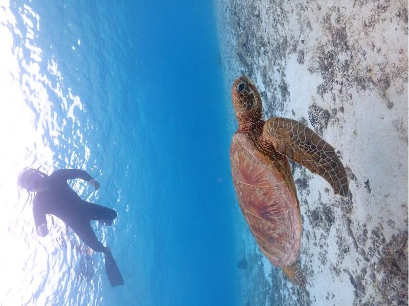 SUNSHINE MARIN 宮古島 のギャラリー