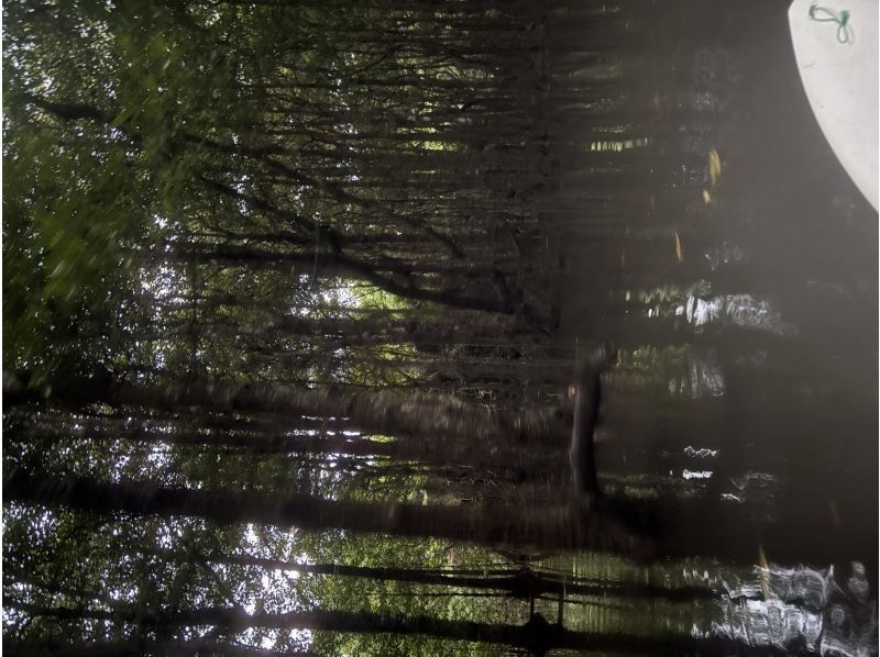 まるまりん のギャラリー