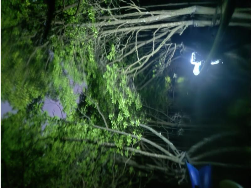 石垣島 海ツアー のギャラリー