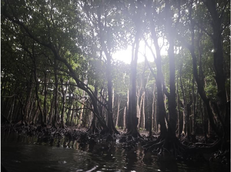 石垣島 海ツアー のギャラリー