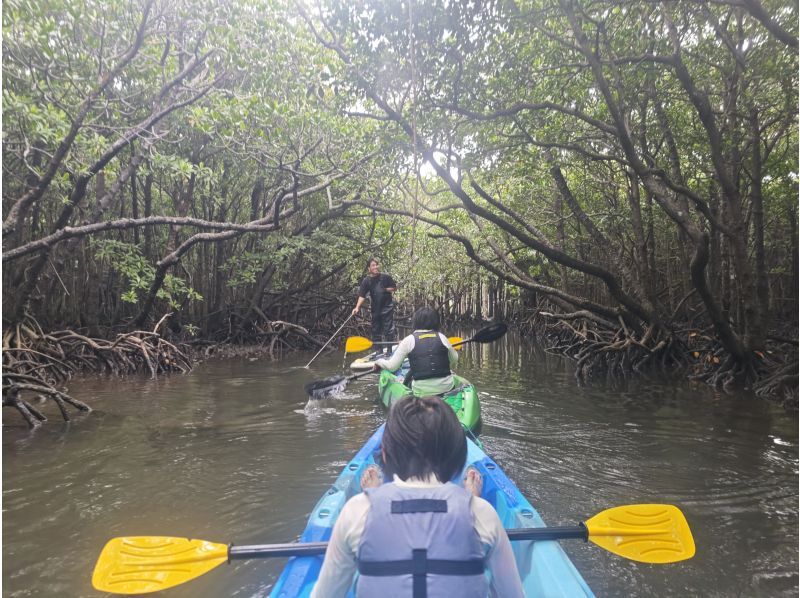 石垣島 海ツアー のギャラリー