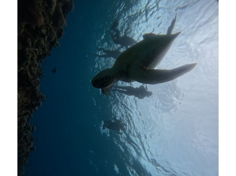 マーレ石垣島 のギャラリー