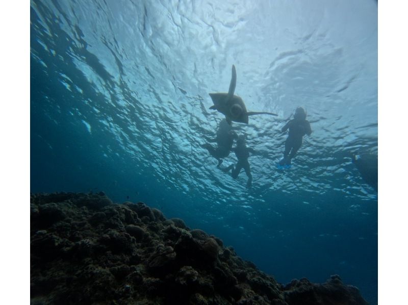 マーレ石垣島 のギャラリー