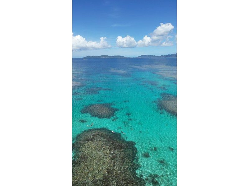 LUCKYCLOVER のギャラリー